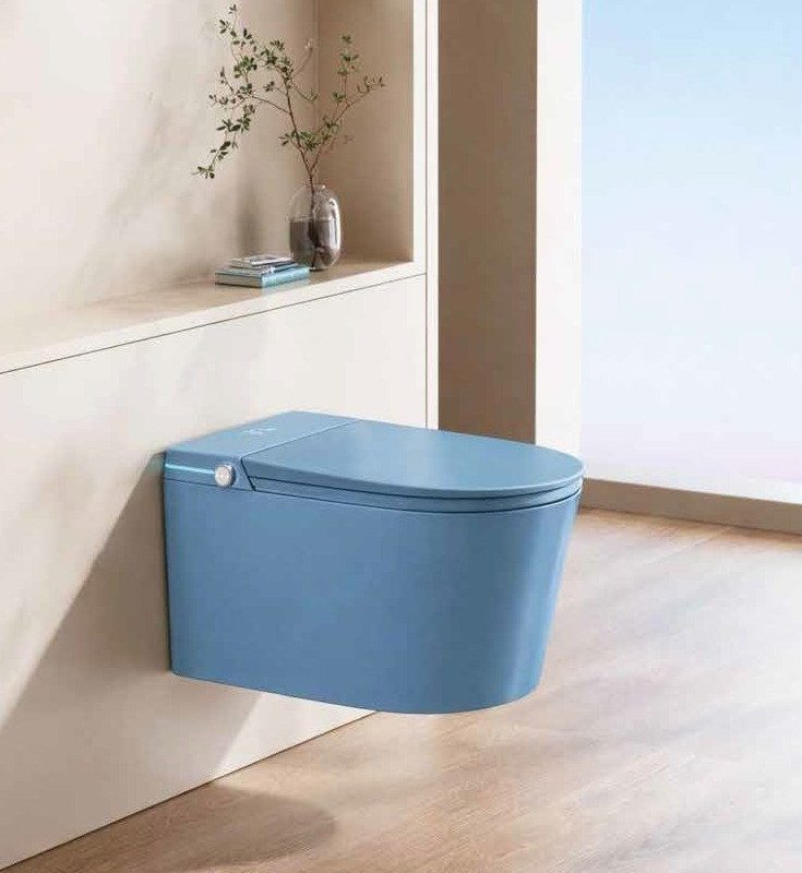 GR 1860B Femıcare Duvara Monte Smart Klozet Blue