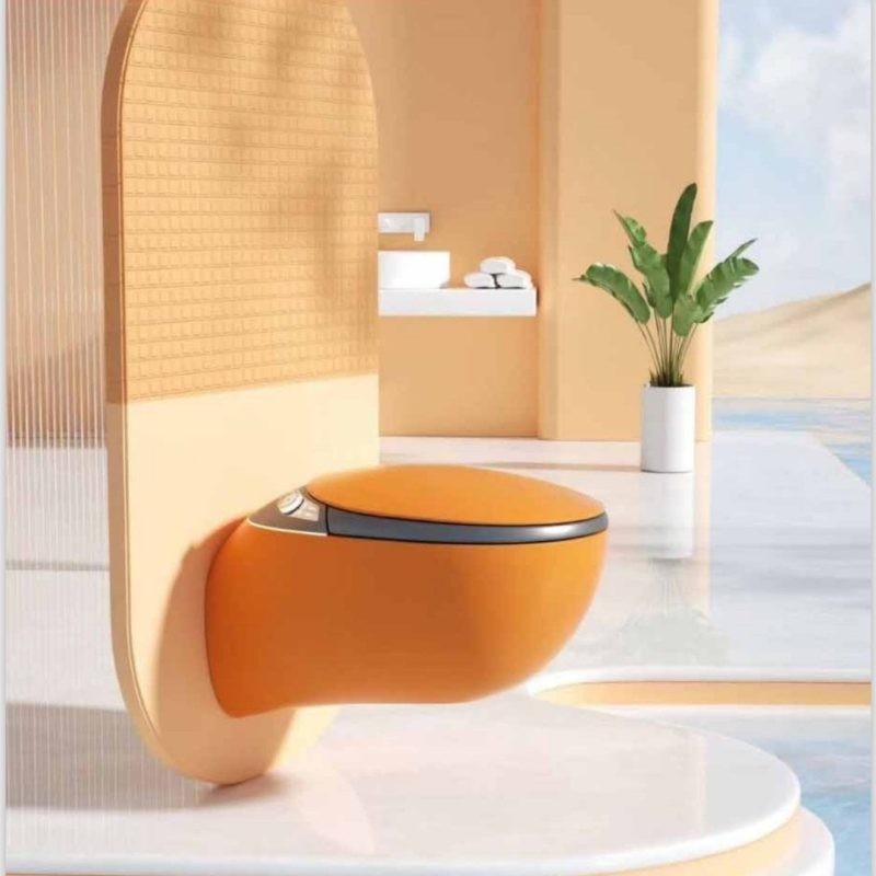 GR 1851 Duvara Monte Smart Klozet Orange