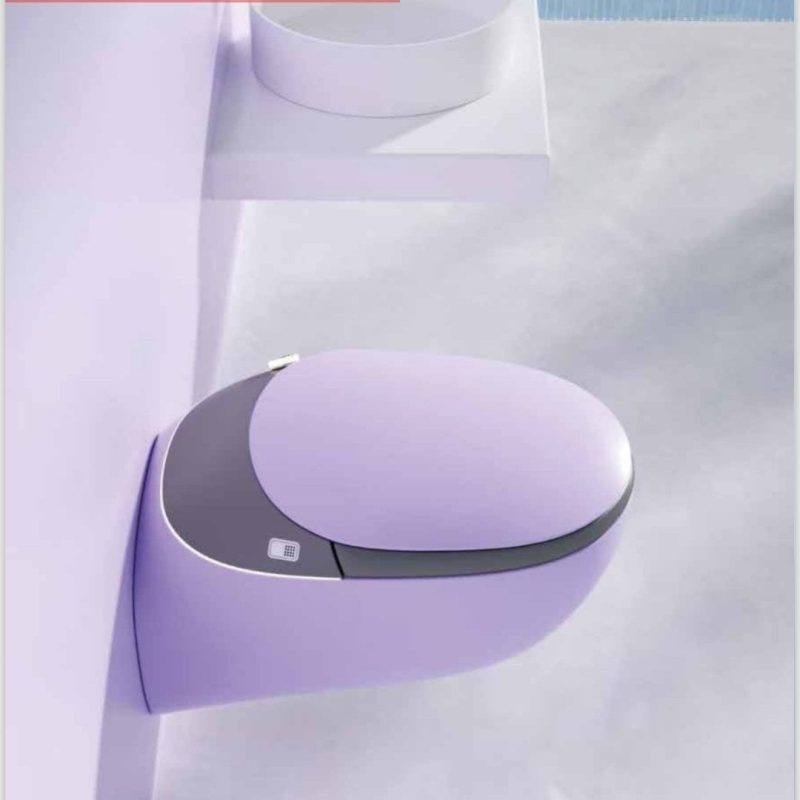 GR 1851 Duvara Monte Smart Klozet Purple
