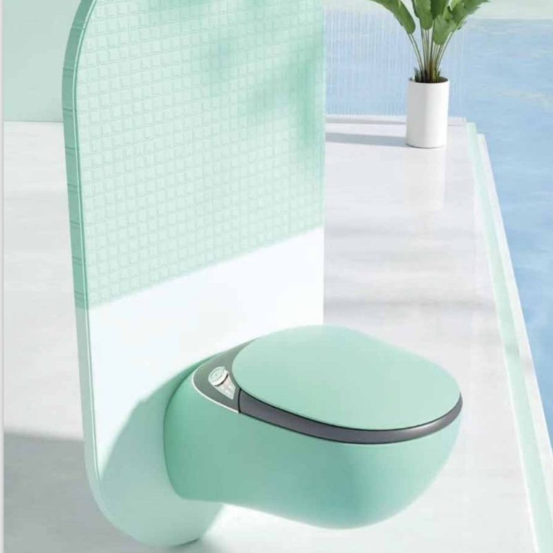 GR 1851 Duvara Monte Smart Klozet Green