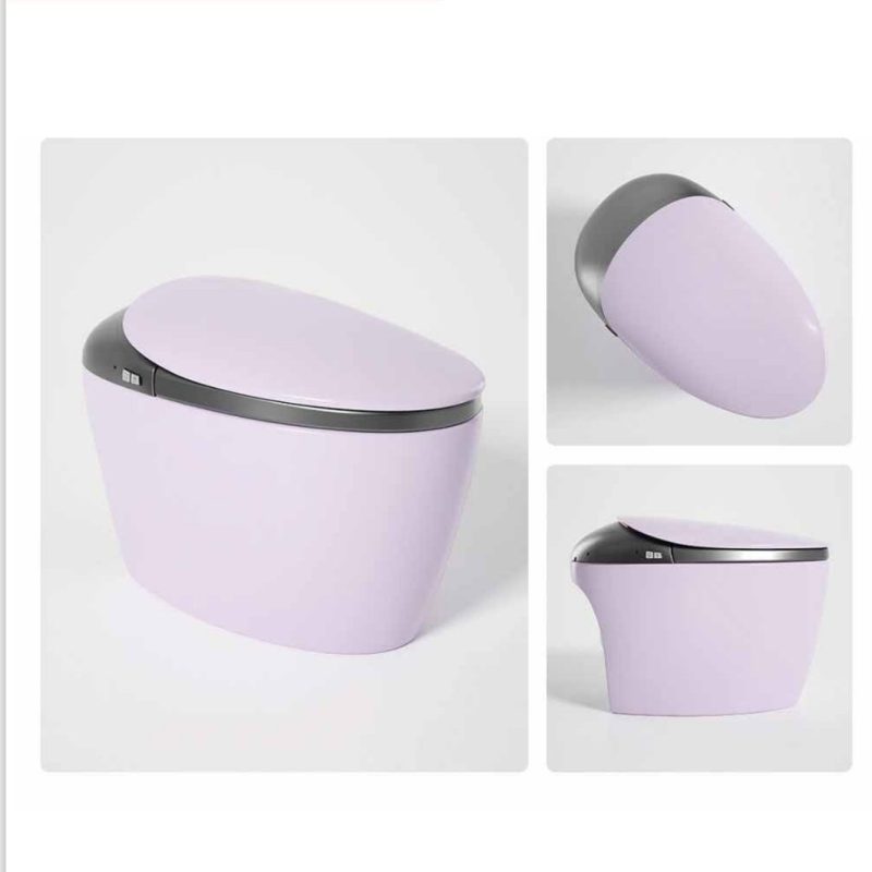 GR 1858 Duvara Monte Smart Klozet Purple