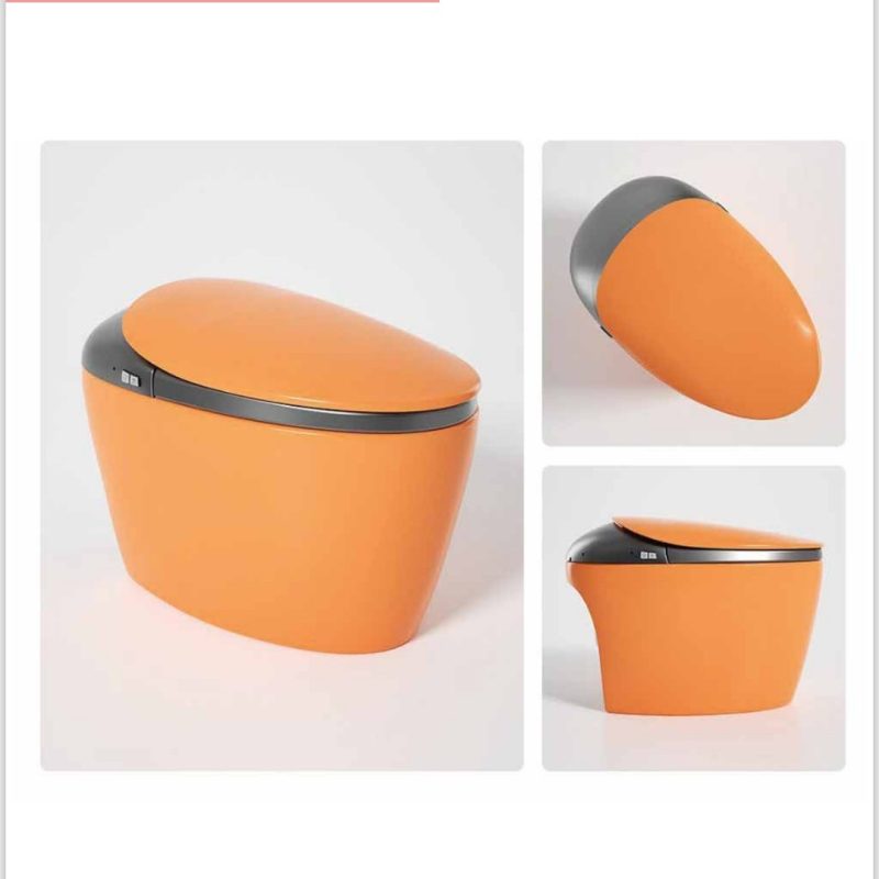 GR 1858 Duvara Monte Smart Klozet Orange